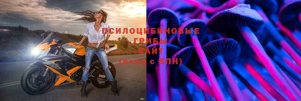 СК Алзамай