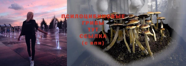 apvp Алексин