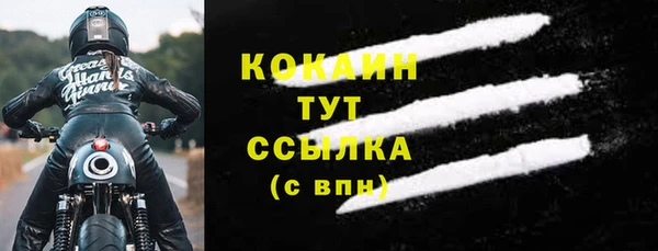 apvp Алексин