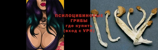 apvp Алексин