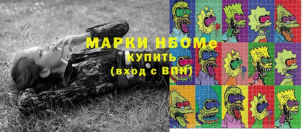 apvp Алексин